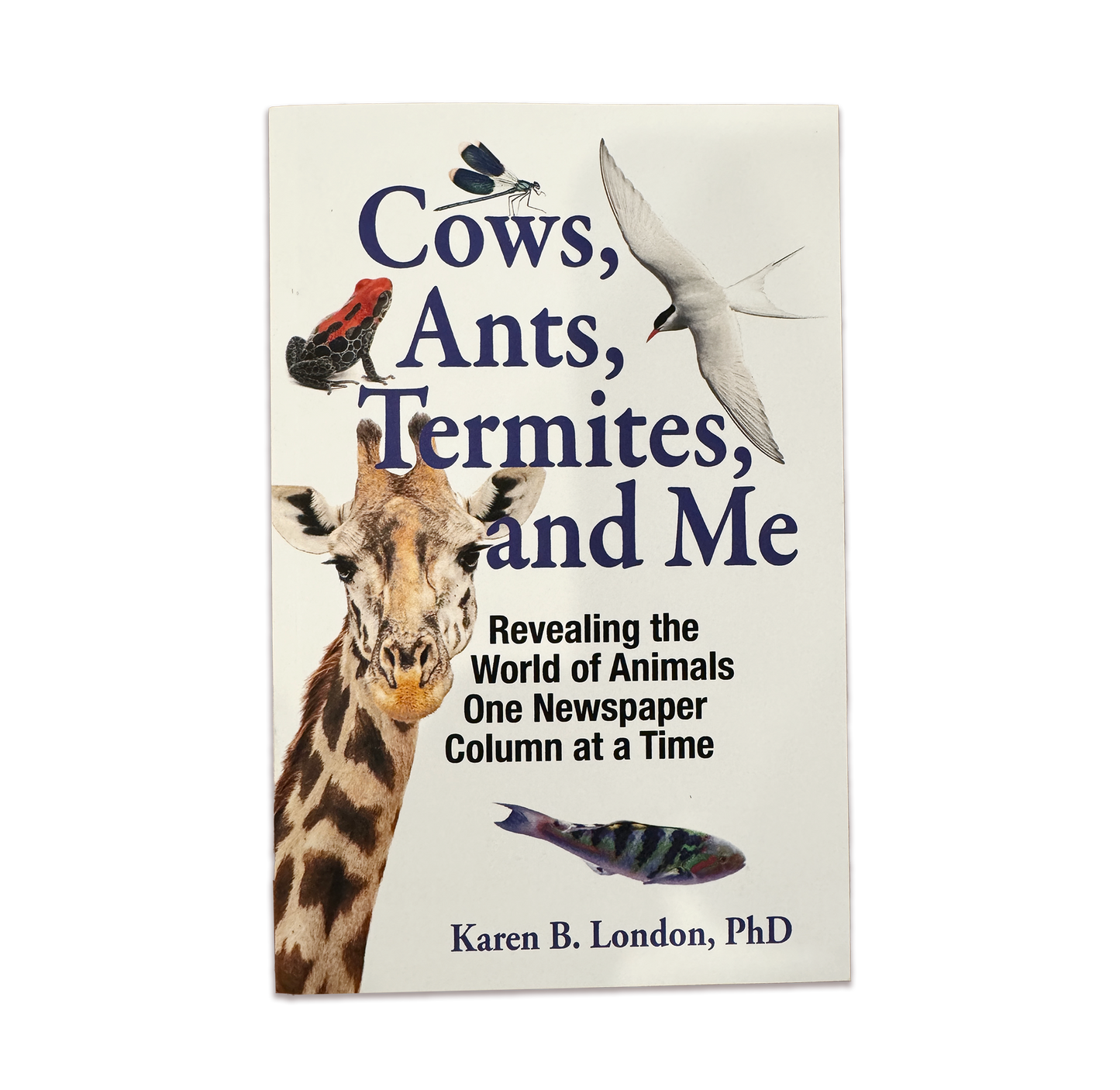 Cows, Ants, Termites, and Me: Revealing the World of Animals One Newspaper Column at a Time