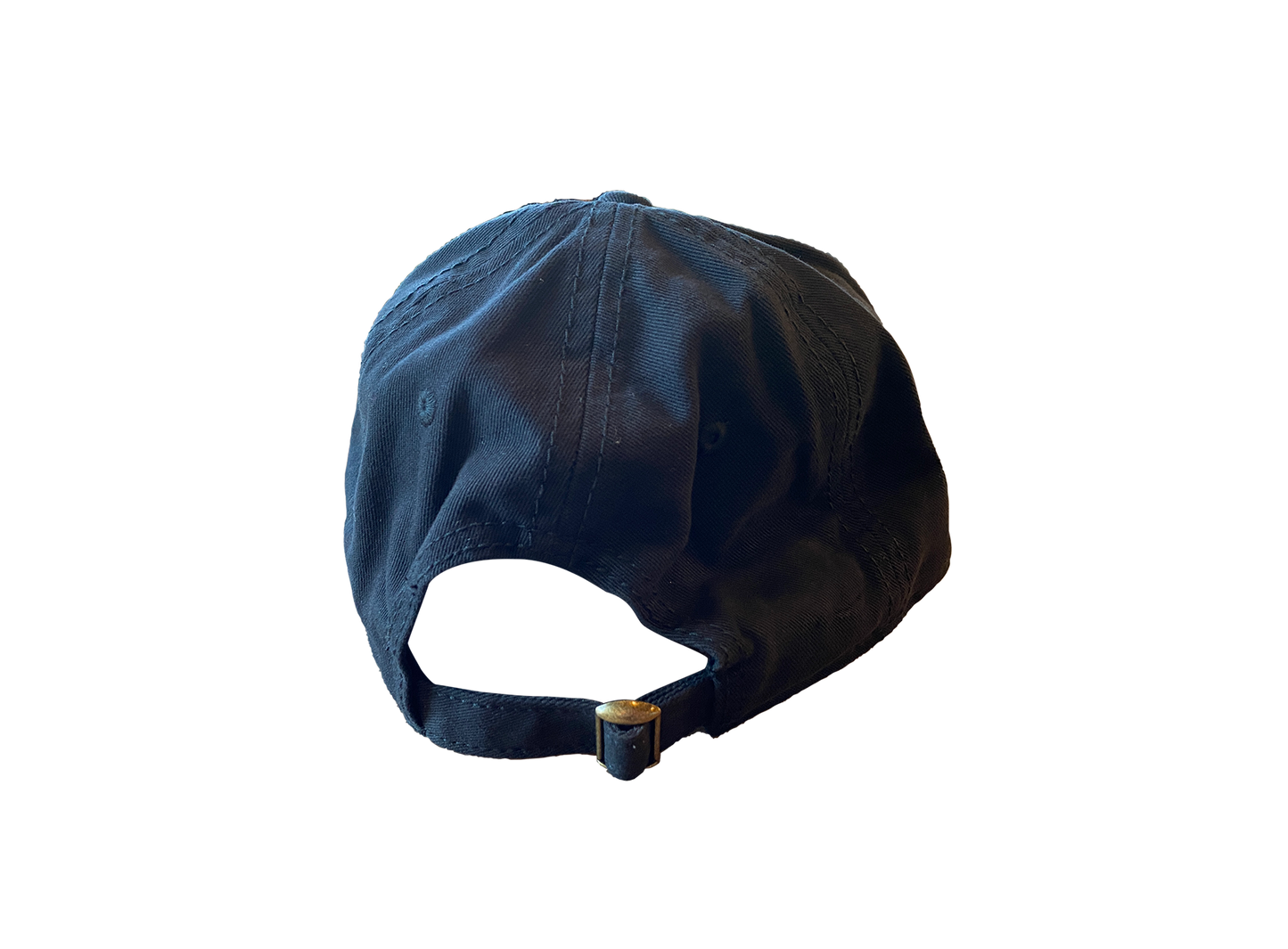 Back of the fetch hat. The black canvas hat has a metal clasp to adjust to most head sizes. 